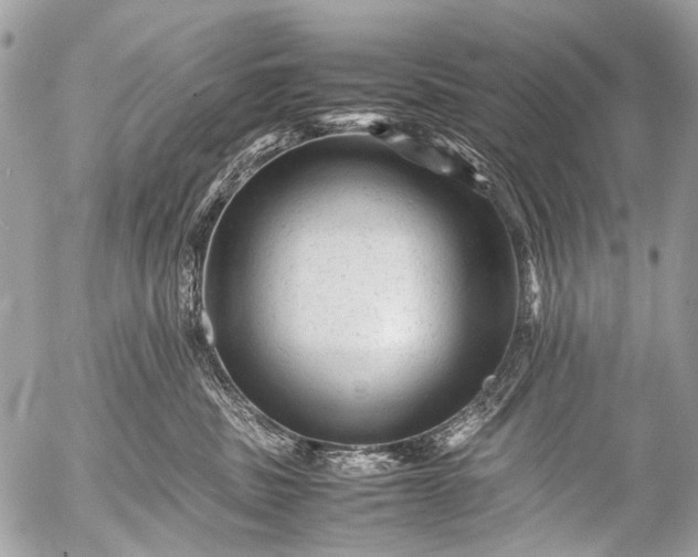 X0000053050379200507251429