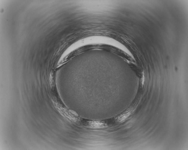 X0000053050380200507251429