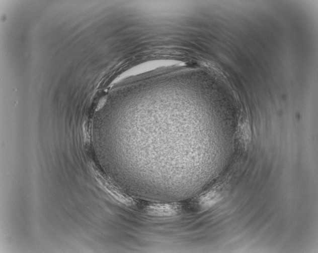 X0000053050381200507251429