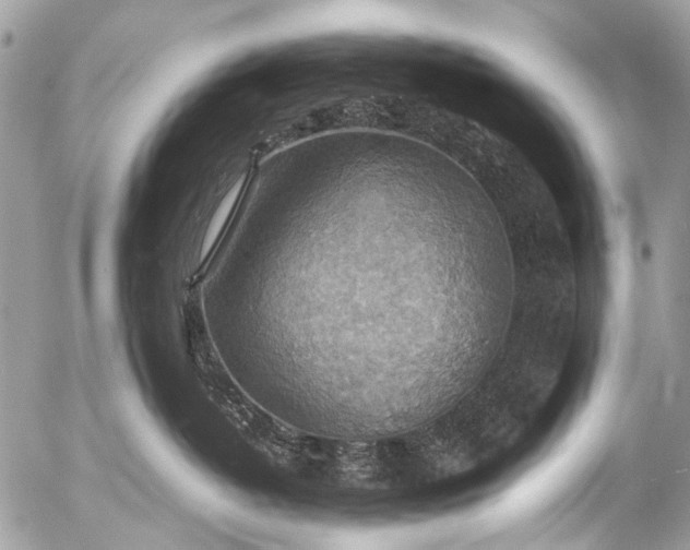 X0000053050382200507251429