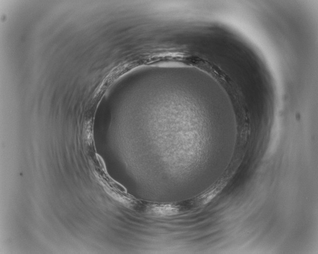 X0000053050383200507251429