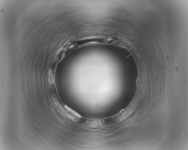 X0000053050384200507251429