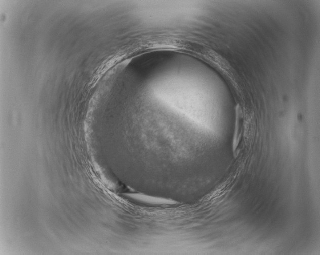 X0000053050385200507251429