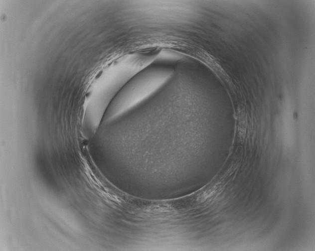 X0000053050386200507251429