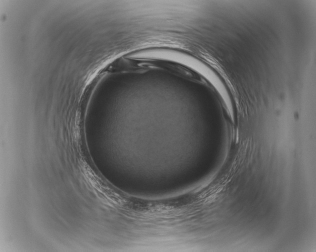 X0000053050387200507251429