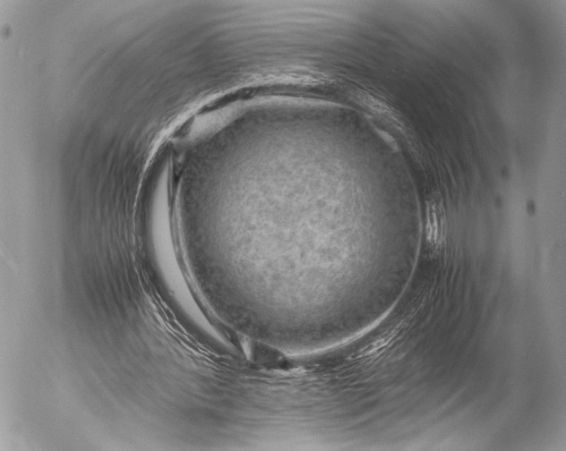 X0000053050388200507251429