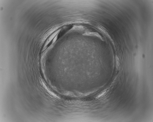 X0000053050389200507251429