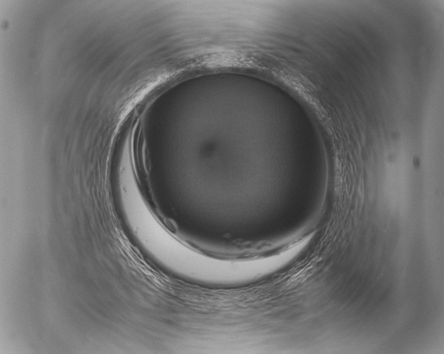 X0000053050391200507251429