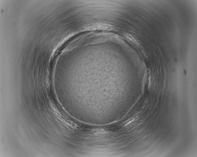 X0000053050392200507251429