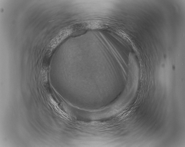 X0000053050393200507251429