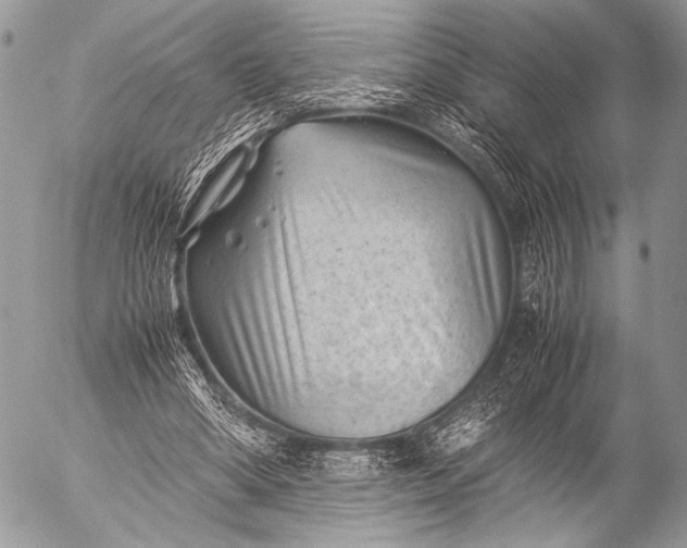 X0000053050394200507251429