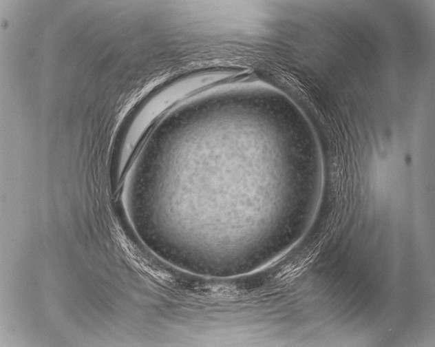 X0000053050395200507251429