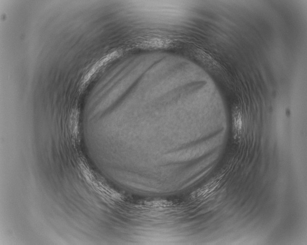 X0000053050396200507251428