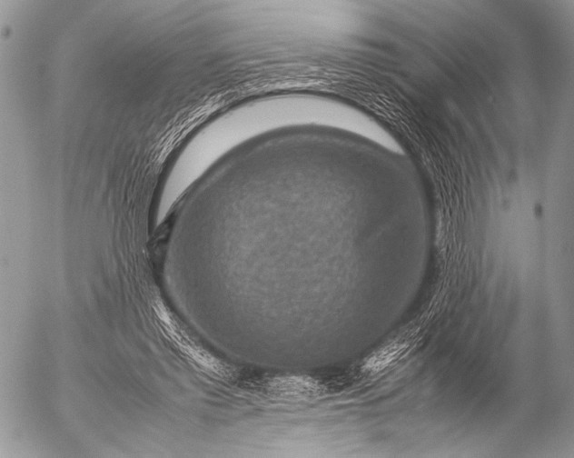 X0000053050397200507251428