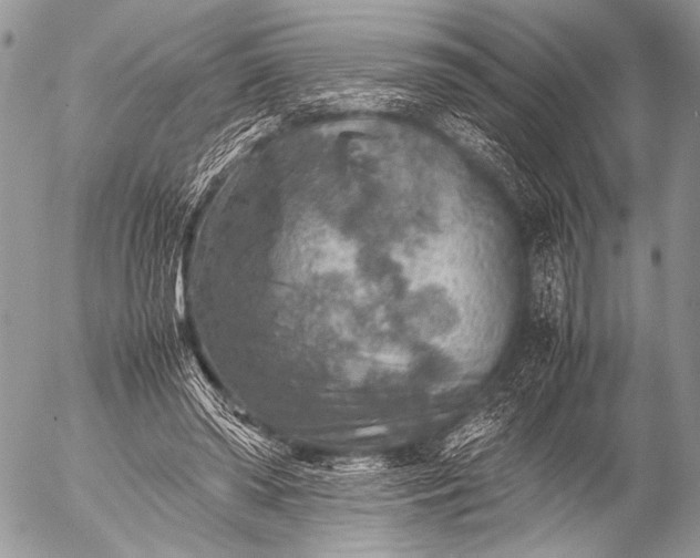 X0000053050398200507251428