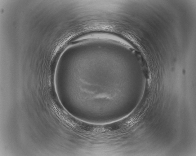 X0000053050399200507251428