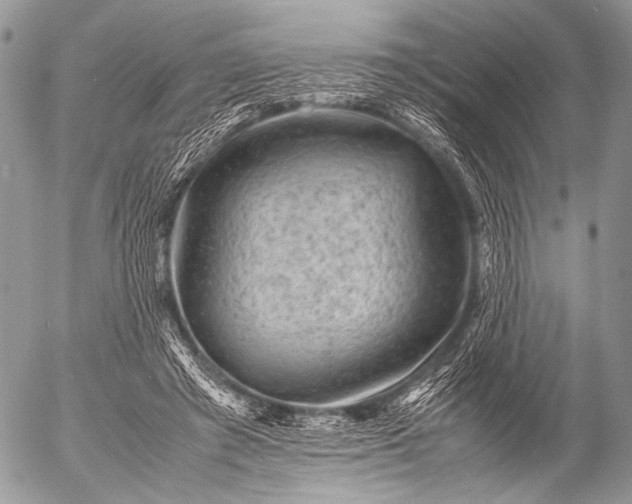 X0000053050401200507251428