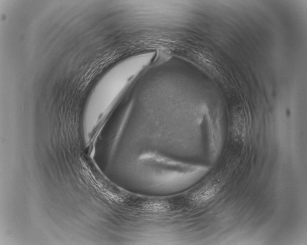 X0000053050402200507251428