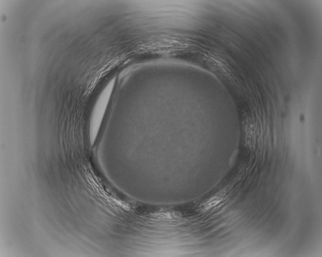 X0000053050404200507251428