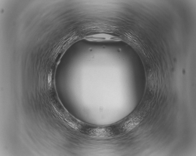 X0000053050406200507251428