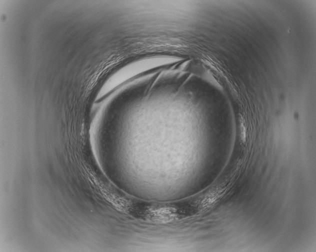 X0000053050407200507251428