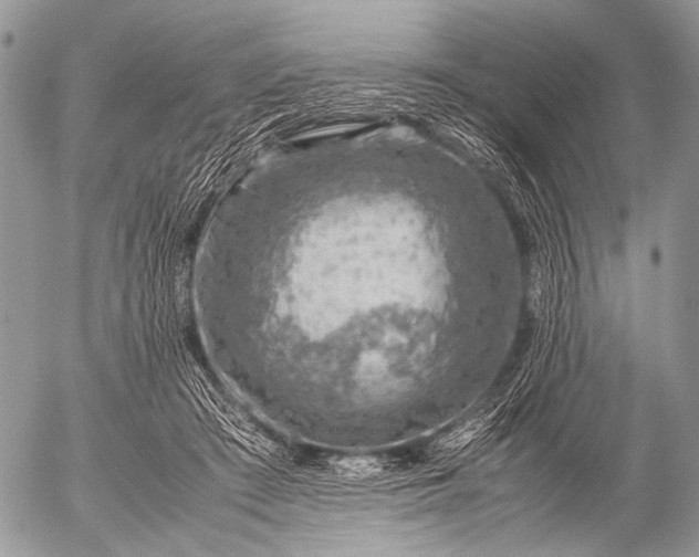 X0000053050409200507251428