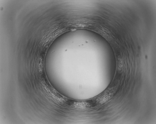 X0000053050414200507251428