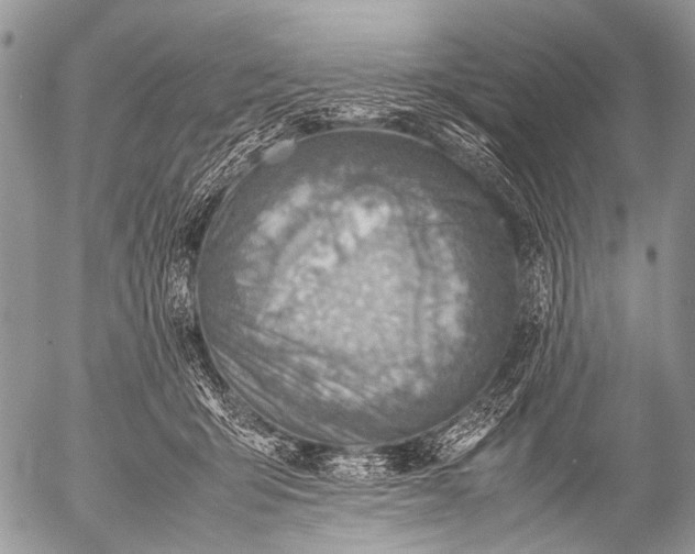 X0000053050415200507251428