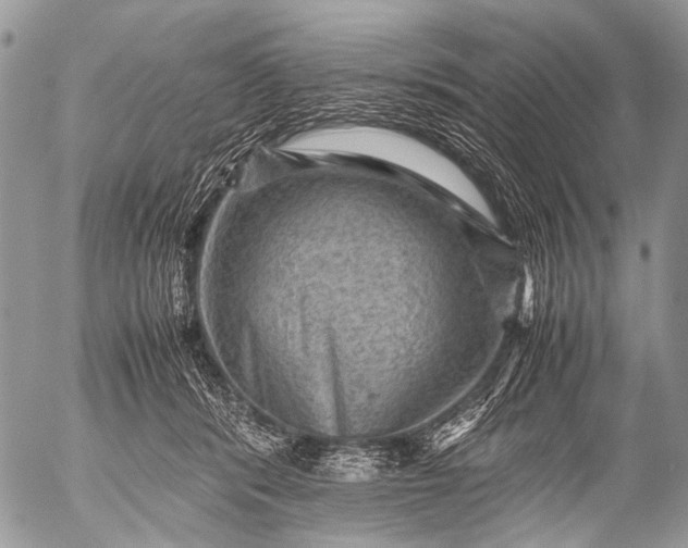 X0000053050416200507251428