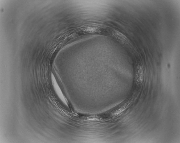 X0000053050420200507251428