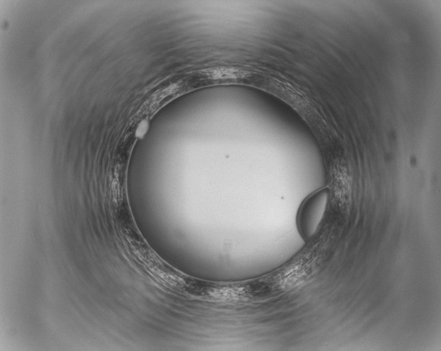 X0000053050422200507251428