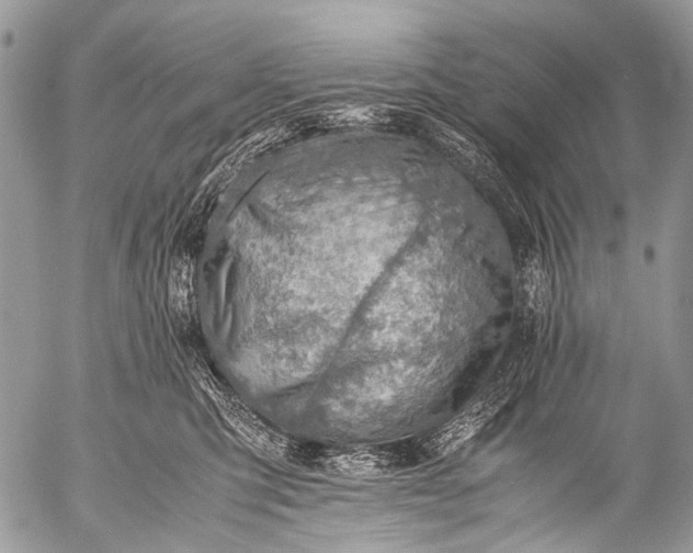 X0000053050423200507251428