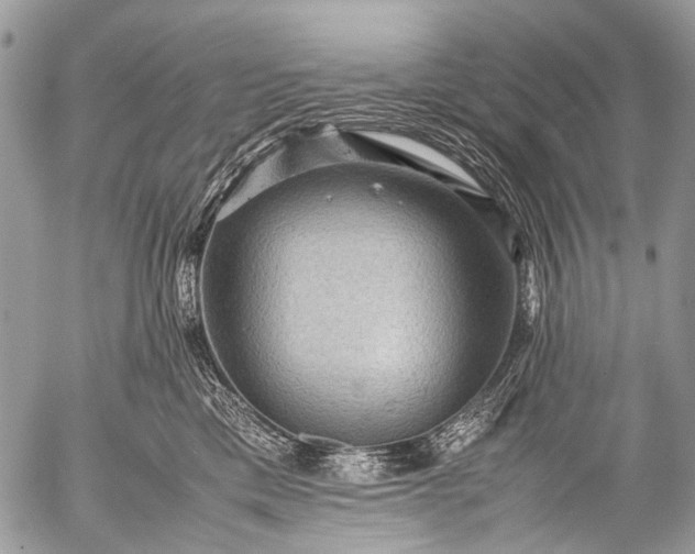 X0000053050425200507251428