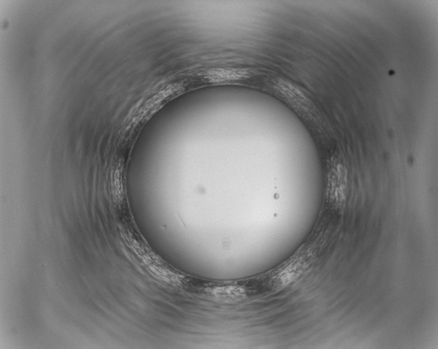 X0000053050426200507251428