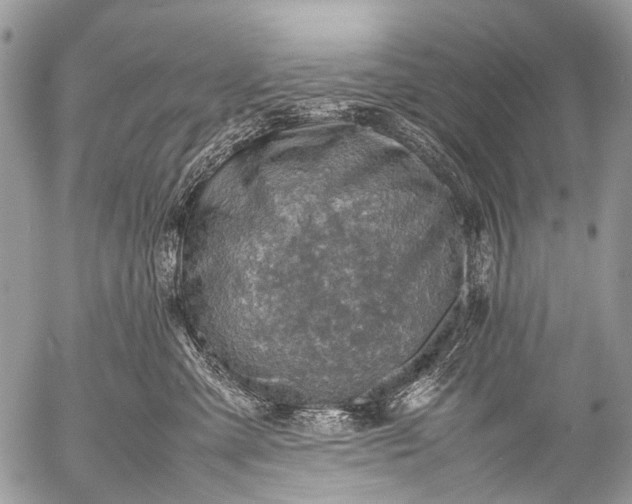 X0000053050427200507251428