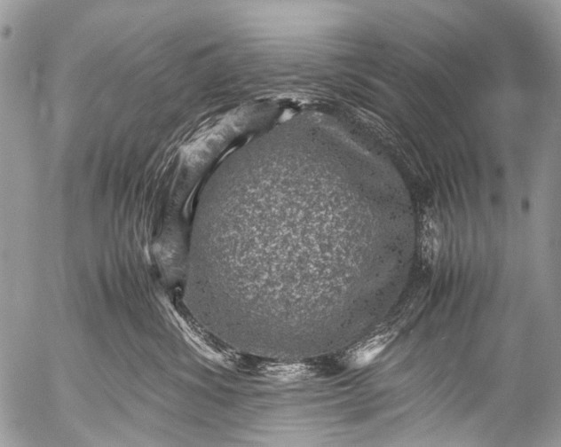 X0000053050428200507251428