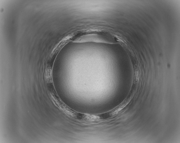 X0000053050429200507251428