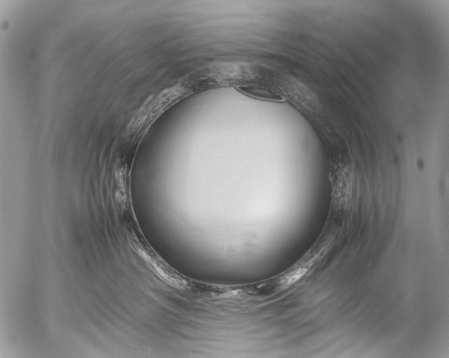 X0000053050430200507251428