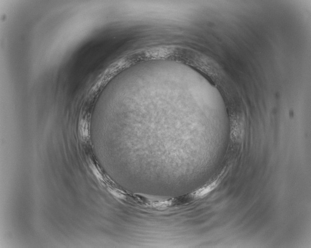 X0000053050431200507251428