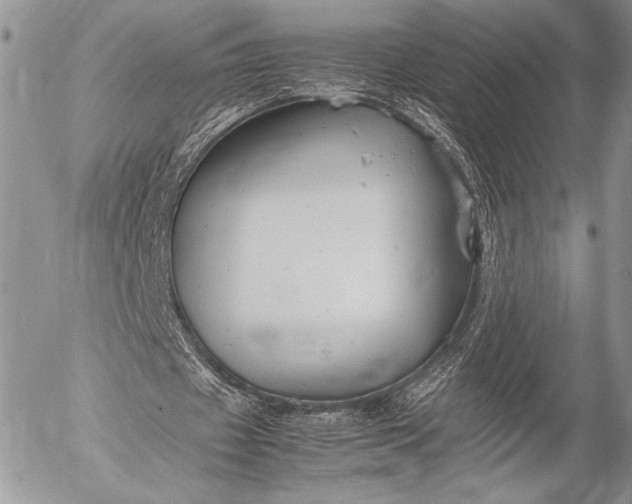 X0000053050433200507251427