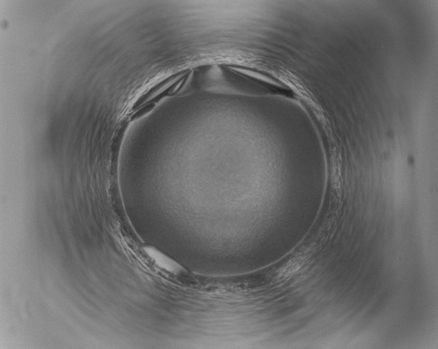 X0000053050434200507251427