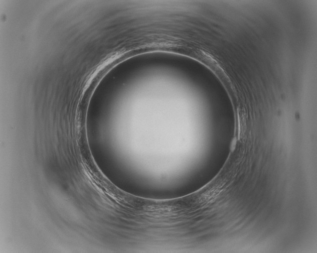 X0000053050435200507251427