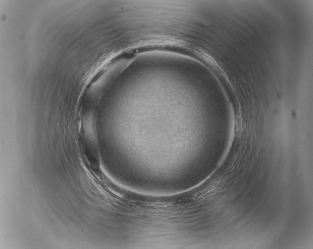 X0000053050436200507251427