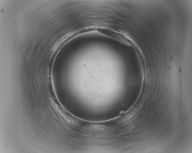 X0000053050437200507251427