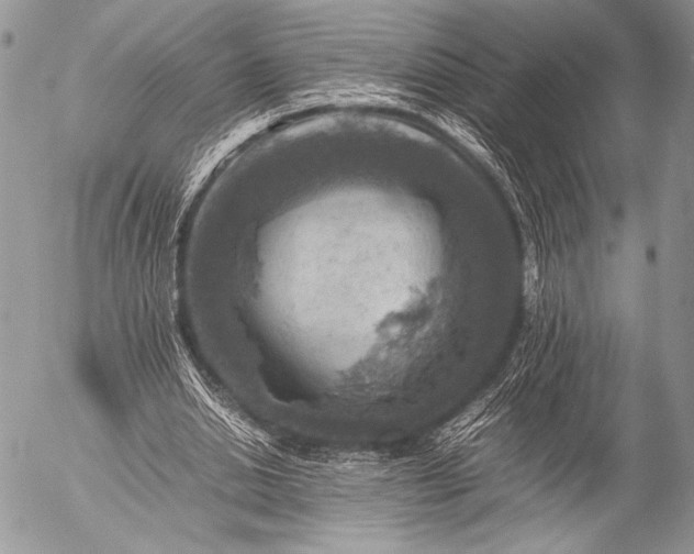 X0000053050438200507251427