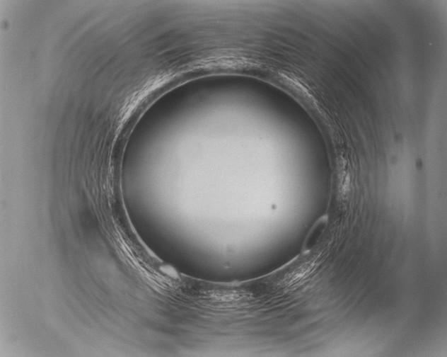 X0000053050439200507251427