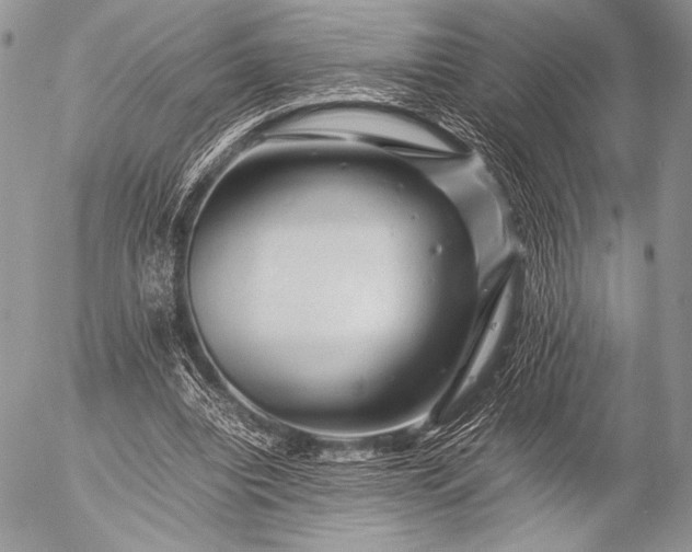 X0000053050440200507251427