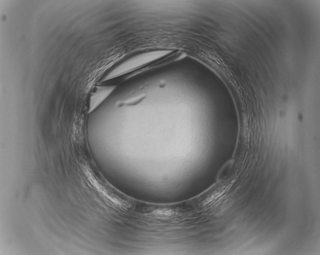 X0000053050441200507251427