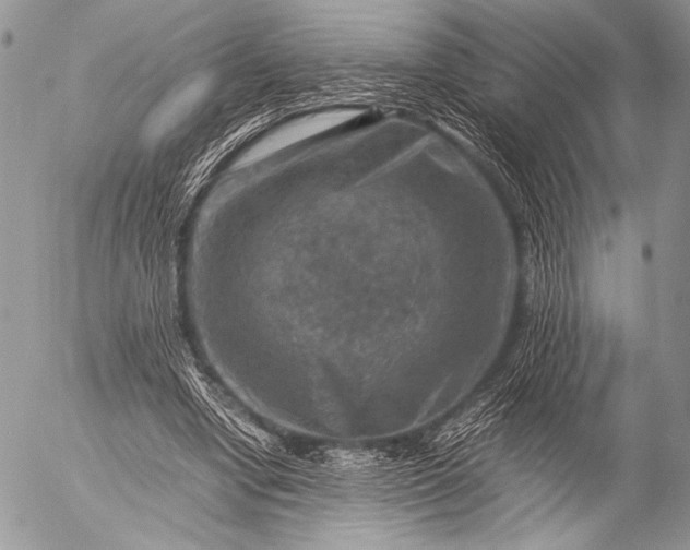 X0000053050442200507251427