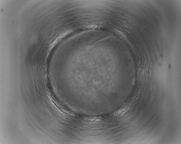 X0000053050443200507251427